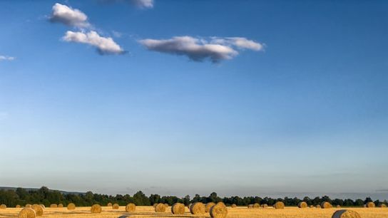 Douglas, Georgia Named Newest Rural Zone to Boost Economic Growth and Revitalize Downtown (Featured)